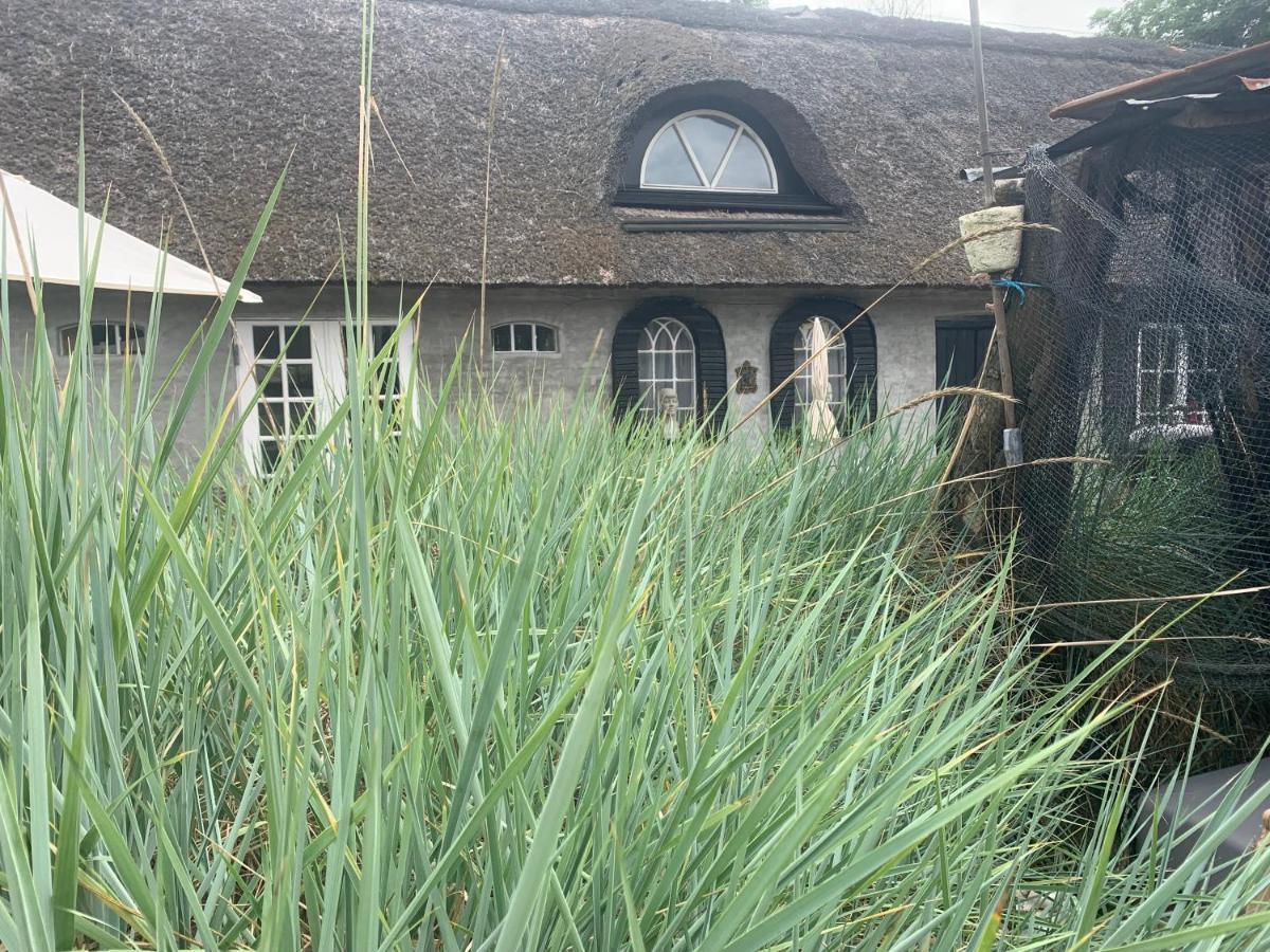Farm61 Badehotellet I Det Midtjydske - Alder +18 Ar 2* Tjele