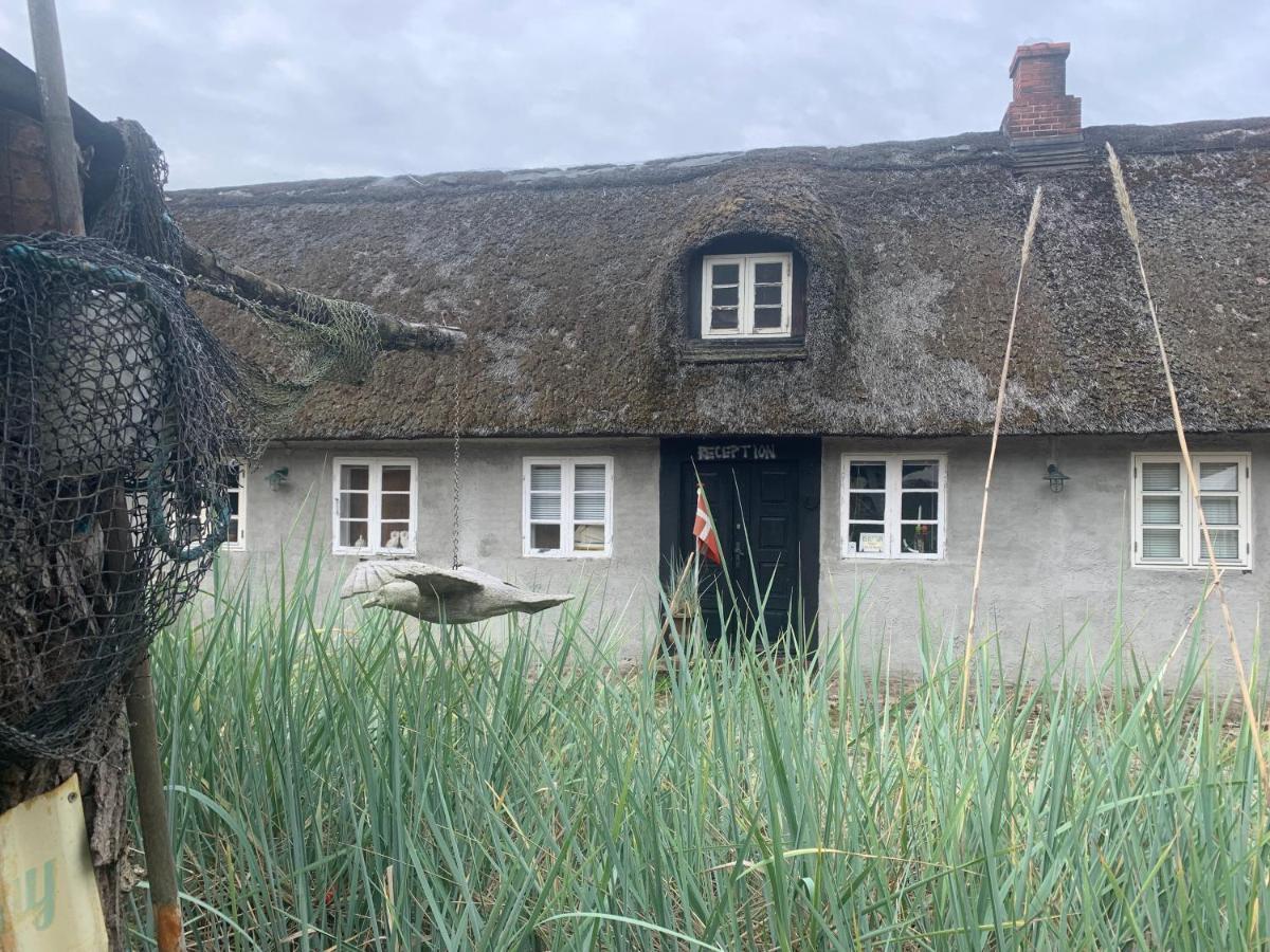 Pensión Farm61 Badehotellet I Det Midtjydske - Alder +18 Ar